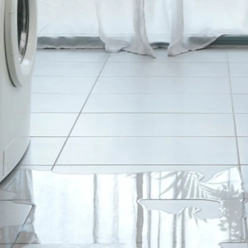 Appliance Leak Cleanup in West Monroe, LA
