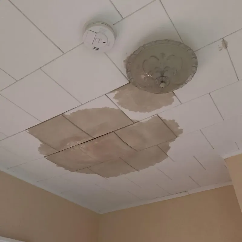 Ceiling Water Damage Repair in West Monroe, LA